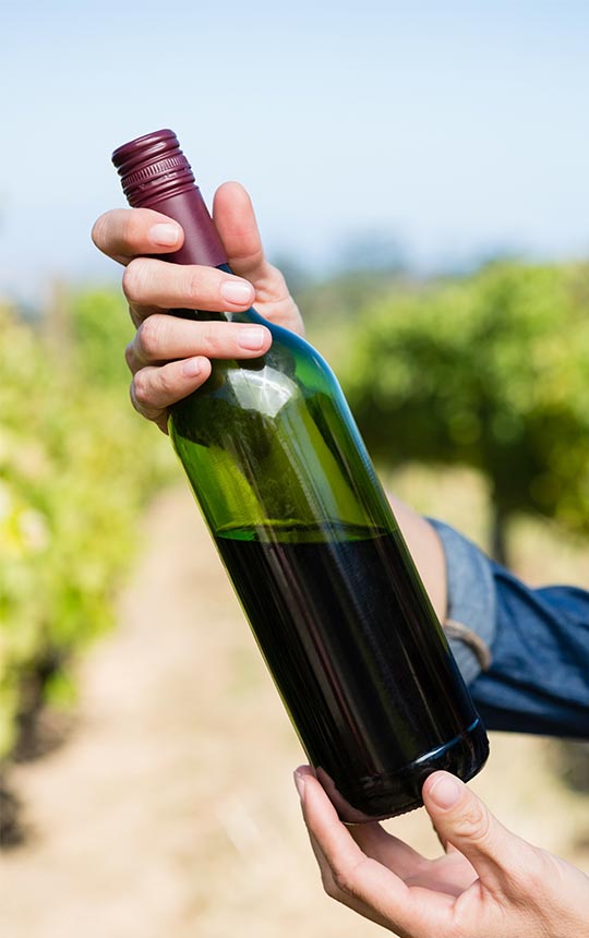 Spiritueux Vougy, Spiritueux Cluses, Spiritueux Haute-Savoie (74)